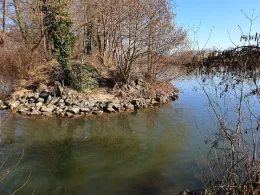 Main (Karlstein am Main)-1