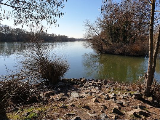 Main (Karlstein am Main)-4