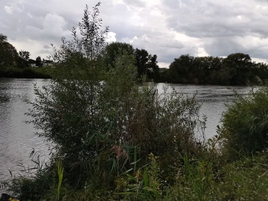 Main (Karlstein am Main)-2