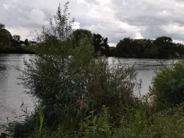 Main (Karlstein am Main)-2