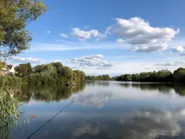 Main (Karlstein am Main)