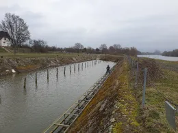 Main (Karlstein am Main)-3