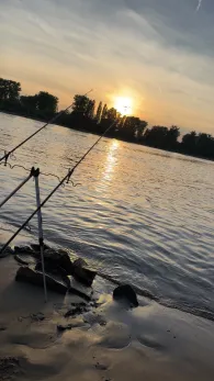 Rhein (Lampertheim)-2