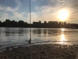 Rhein (Lampertheim)-3