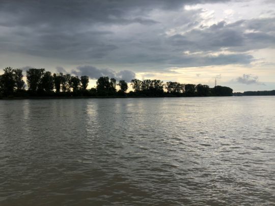 Rhein (Lampertheim)-4