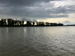 Rhein (Lampertheim)-4