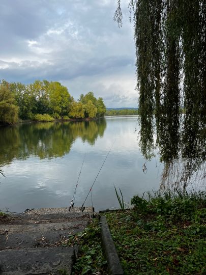 Steinsee (Neuwied)-2