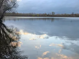 Steinsee (Neuwied)-3