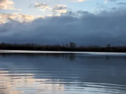 Steinsee (Neuwied)-4