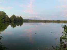 Steinsee (Neuwied)-1