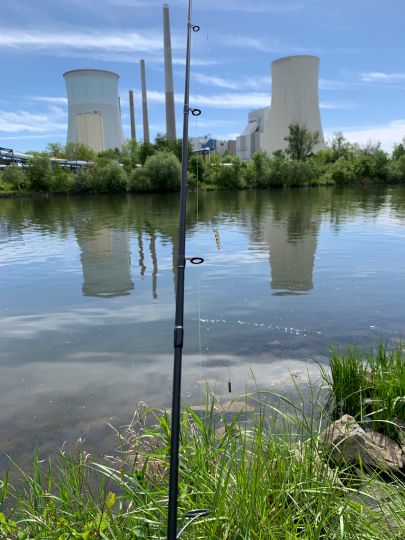 Main (Großauheim)-1