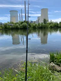 Main (Großauheim)-1