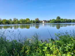 Main (Großauheim)-4