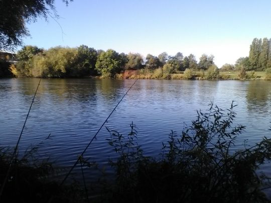 Main (Großauheim)-3