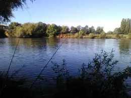 Main (Großauheim)-3