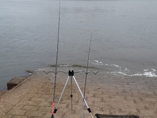 Rheinauhafen Hitdorf-2