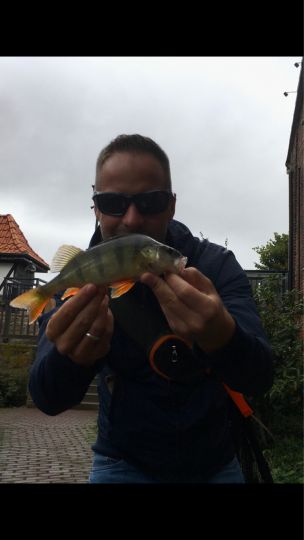 Stever (Lüdinghausen)-1