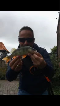 Stever (Lüdinghausen)-1