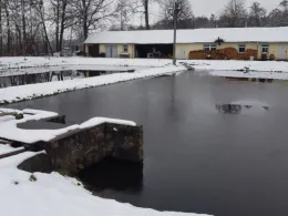 Hälteranlage Zschorna-3