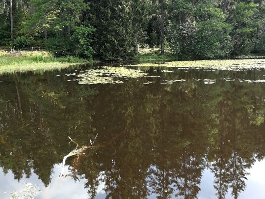 Schlüchtsee-2