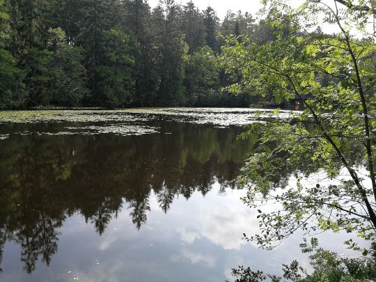 Schlüchtsee-1