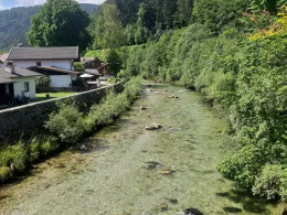 Weiße Traun (Hörgering)