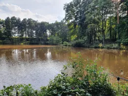 Reitergrund (Steinbach)-1