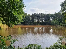 Reitergrund (Steinbach)