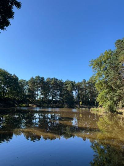 Reitergrund (Steinbach)-2