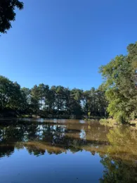 Reitergrund (Steinbach)-2