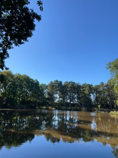 Reitergrund (Steinbach)-3