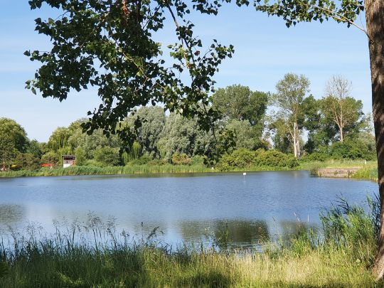 Badekanal Demmin angeln