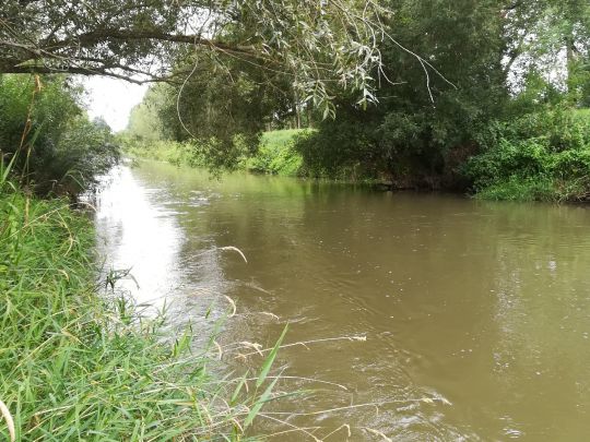 Angeln in Kutzleben