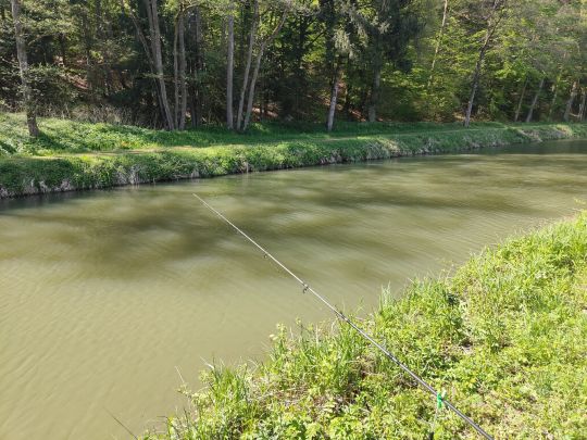 Ludwig-Donau-Main-Kanal (Berg bei Neumarkt)-4