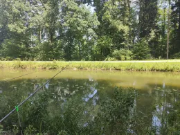 Ludwig-Donau-Main-Kanal (Berg bei Neumarkt)-3