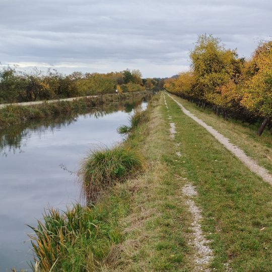 Ludwig-Donau-Main-Kanal (Berg bei Neumarkt)-2