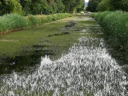 Ludwig-Donau-Main-Kanal (Berg bei Neumarkt)-3