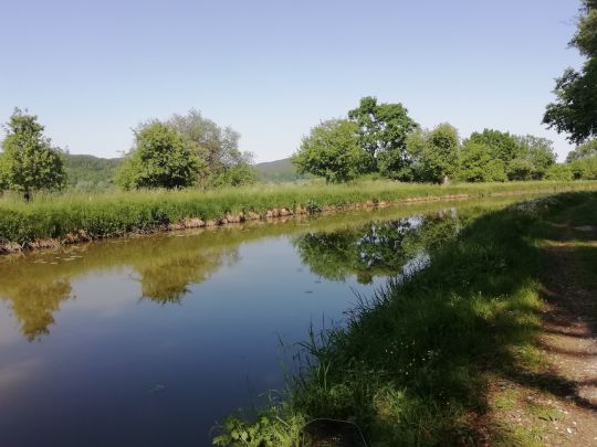 Ludwig-Donau-Main-Kanal (Berg bei Neumarkt)-1
