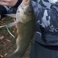 Schulteich (Trebbichau)-4