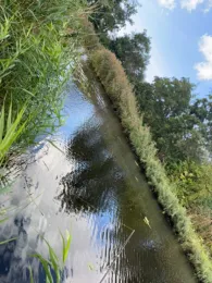 Polder Julianadorp-3