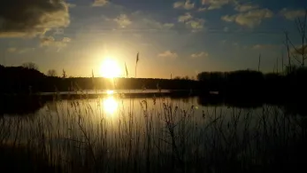 Bernsteinsee (Velten)-1