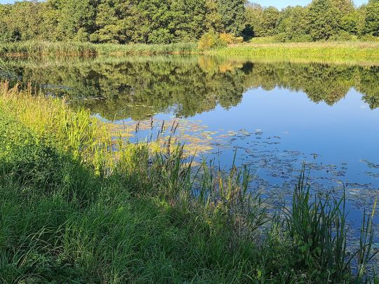 Wassensdorfer Schöpfwerk-1