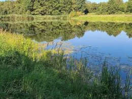 Wassensdorfer Schöpfwerk-1