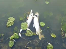 Wassensdorfer Schöpfwerk-2