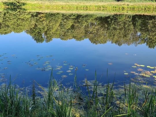Wassensdorfer Schöpfwerk-4