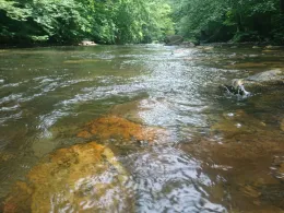 Schwarza (Schwarzburg)-1