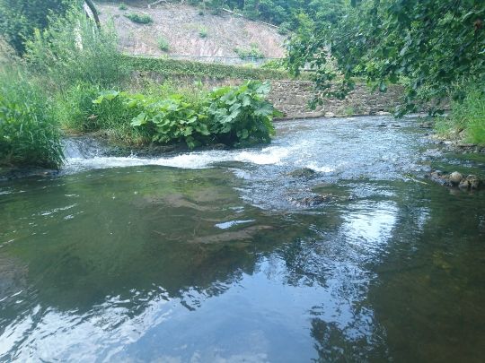 Schwarza (Schwarzburg)-4