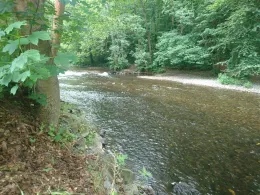 Schwarza (Schwarzburg)