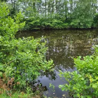 Löschteich (Langen)