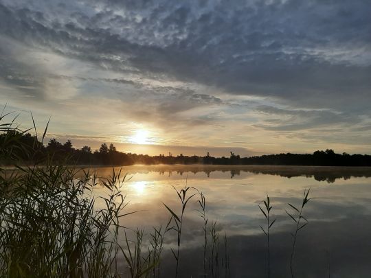 Baggersee Jarplund-Weding-1